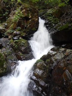 c0359615_20275243.jpg
