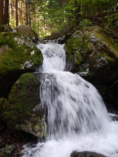 c0359615_20280547.jpg