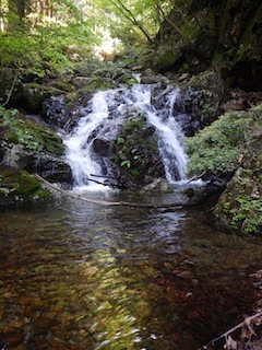 c0359615_20283027.jpg