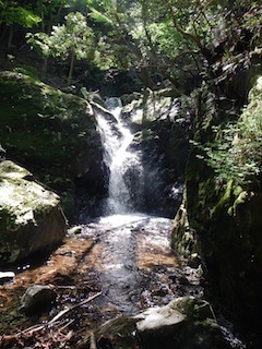 c0359615_20285295.jpg