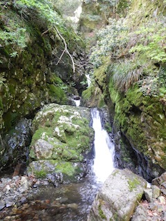 c0359615_20314965.jpg