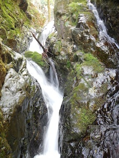 c0359615_20321295.jpg