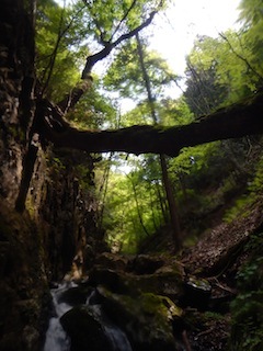 c0359615_20322458.jpg