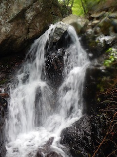 c0359615_20323891.jpg