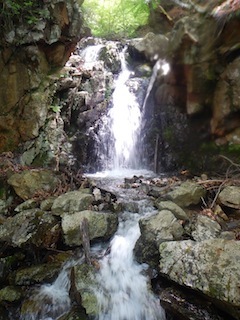 c0359615_20324890.jpg