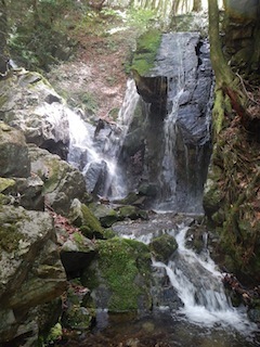 c0359615_20332835.jpg