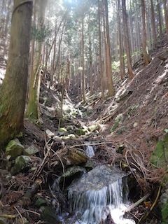 c0359615_20333919.jpg