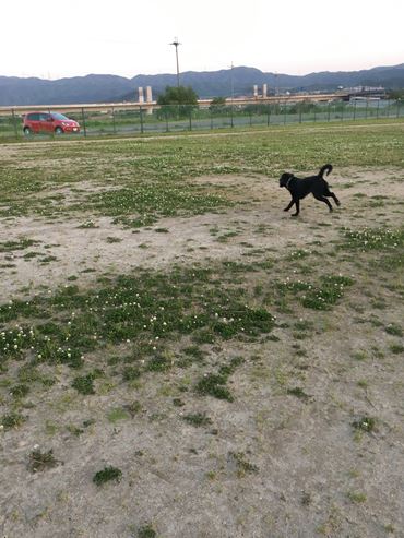c0114121_051622.jpg