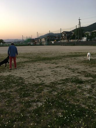 c0114121_094425.jpg