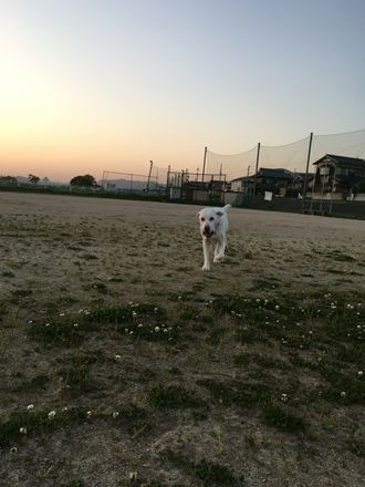 c0114121_095235.jpg