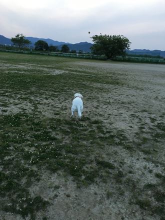 c0114121_23273770.jpg