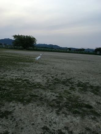 c0114121_23283255.jpg