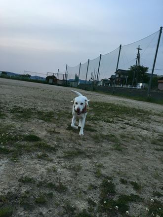 c0114121_2329356.jpg