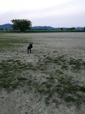 c0114121_2342227.jpg