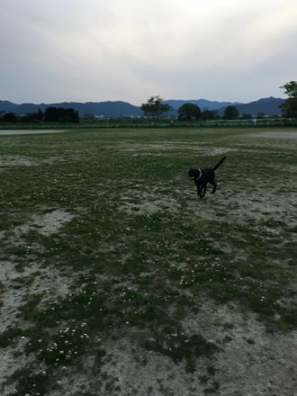 c0114121_23422471.jpg