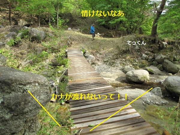 f0143123_20281221.jpg