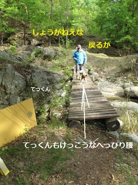 f0143123_20282234.jpg