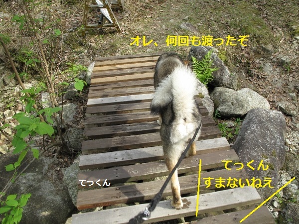 f0143123_20284881.jpg
