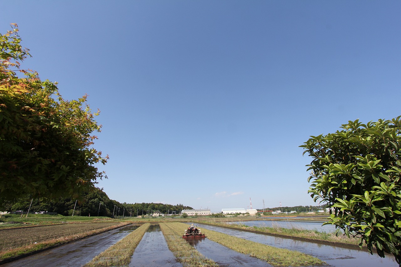f0225627_14522158.jpg