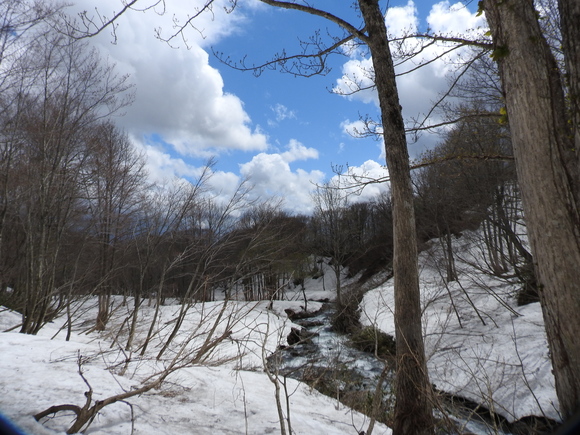 f0118332_2336191.jpg