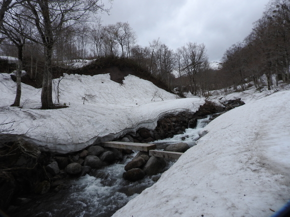 f0118332_23364679.jpg