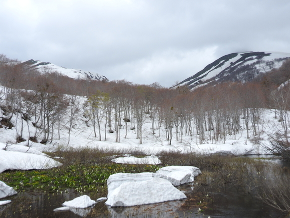 f0118332_23374621.jpg