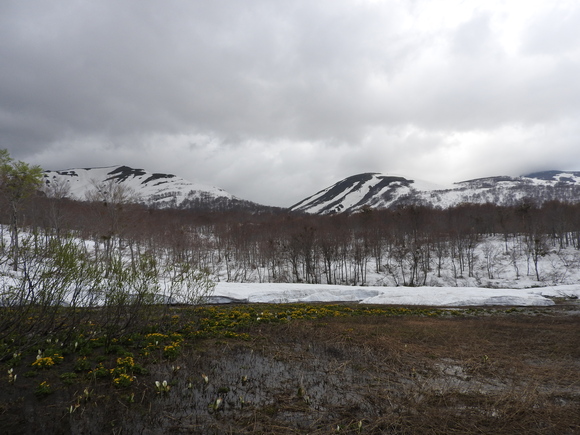f0118332_23423529.jpg