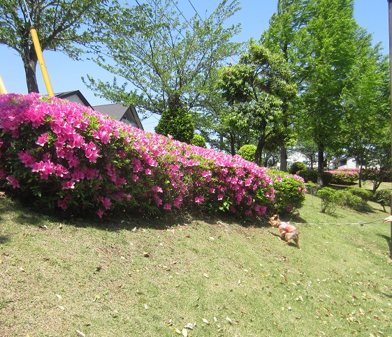 f0002833_19132122.jpg