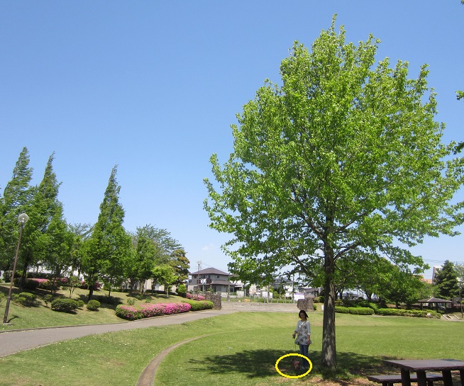 f0002833_1913479.jpg