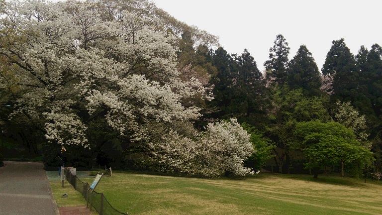 f0002833_19422625.jpg