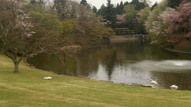 f0002833_19424417.jpg