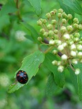 f0167635_8221995.jpg