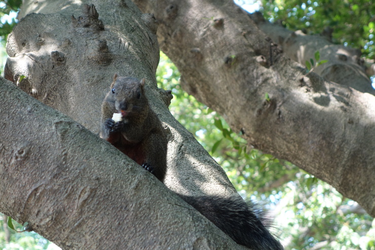 a0287336_3202010.jpg