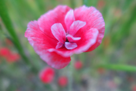 f0234936_6252198.jpg