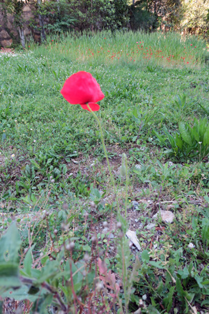 f0234936_625669.jpg