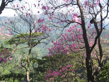 c0077338_7394753.jpg