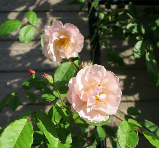 b0178339_07253264.jpg