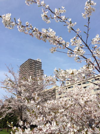 b0001440_9425576.jpg
