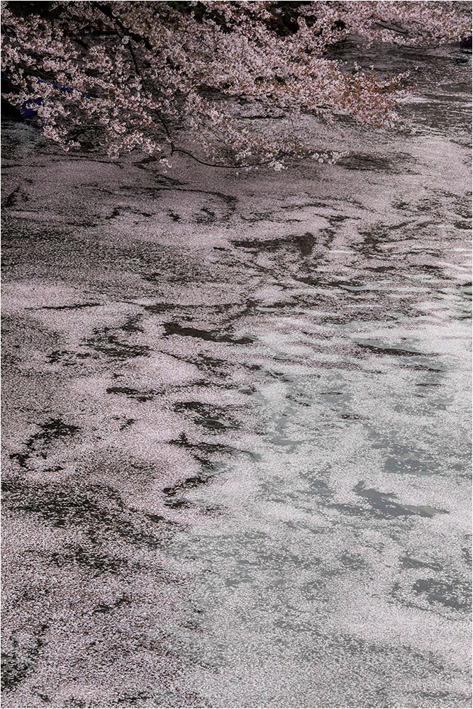 d0328840_01485939.jpg
