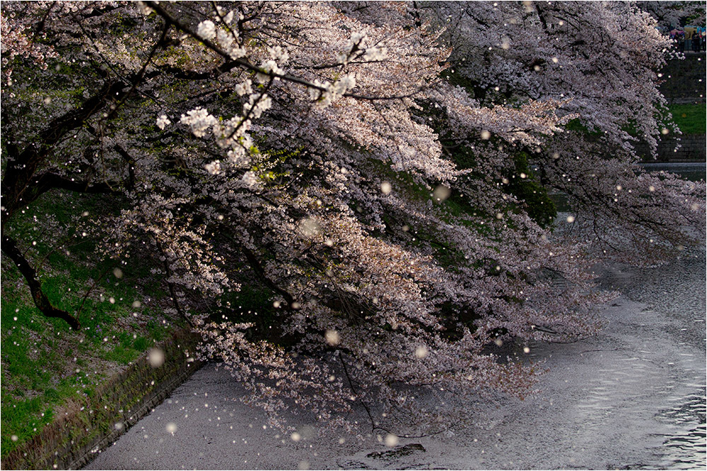d0328840_02001751.jpg