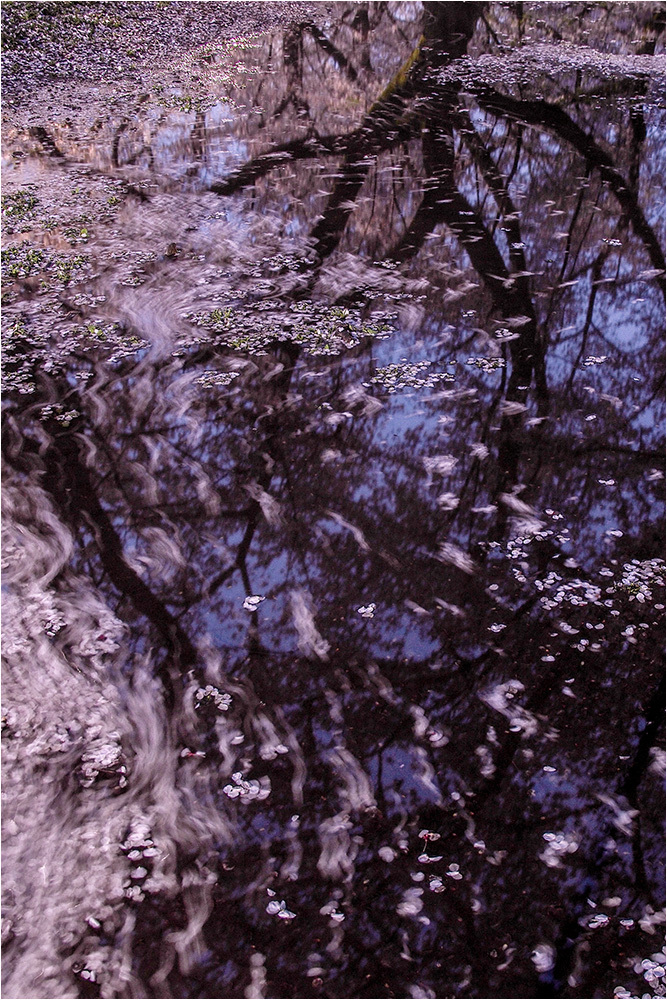 d0328840_23072651.jpg