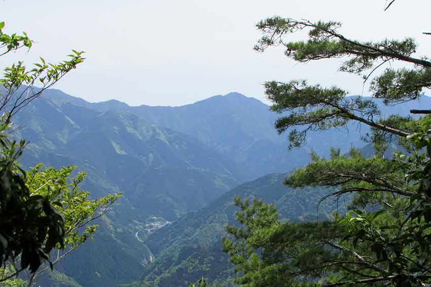 d0058941_21282364.jpg