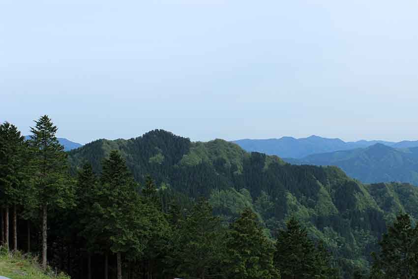 d0058941_227323.jpg