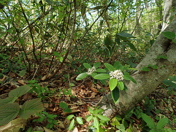 f0214649_67298.jpg