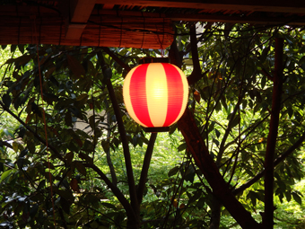d0218056_826218.jpg