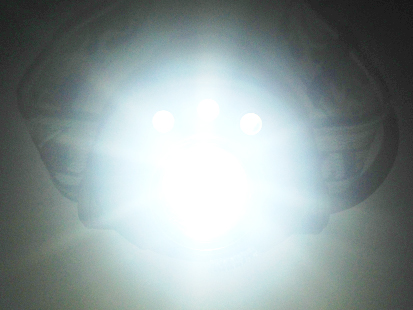 b0177760_1102199.jpg