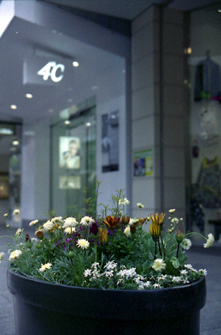 b0157961_00274734.jpg