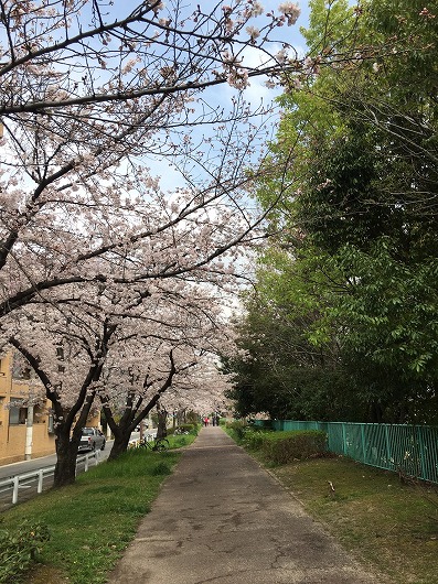 b0145863_21594685.jpg