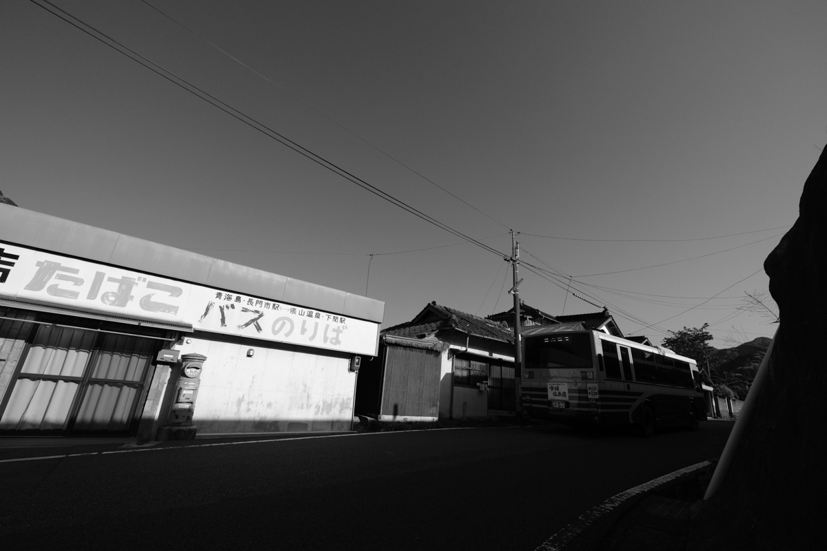 c0084666_23234355.jpg