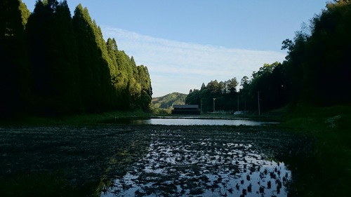 f0139466_1911507.jpg